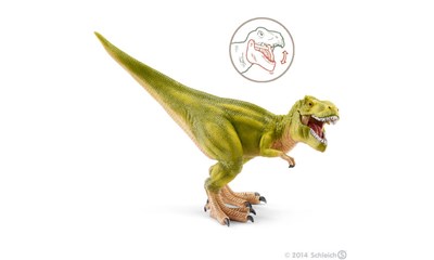 Tyrannosaurus Rex, hellgrün