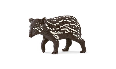 Tapir Junges