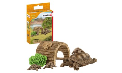 Zuhause für Schlidkröten