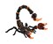 Lavaskorpion mit beweglichem Stachel und Greifzangen