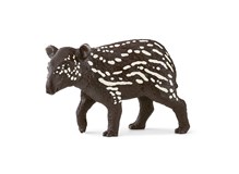 Tapir Junges